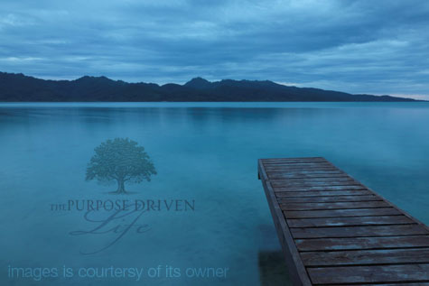 Purpose Driven Life Purpose Driven Life